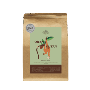 Orang Utan