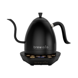 Electric kettle with variable temperature settings and precision spout.