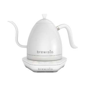 Electric kettle with variable temperature settings and precision spout.