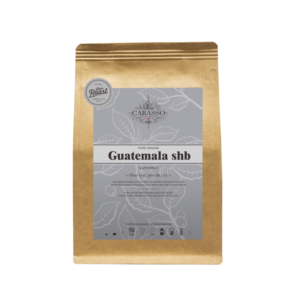 Café en grain ou moulu Guatemala SHB