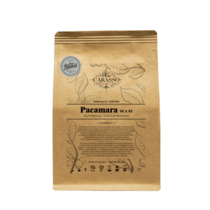 Café en grain ou moulu Pacamara sca 85 - Guatemala