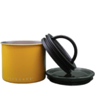 Airscape Jaune Mat - 250gr