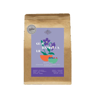 Guji LR 