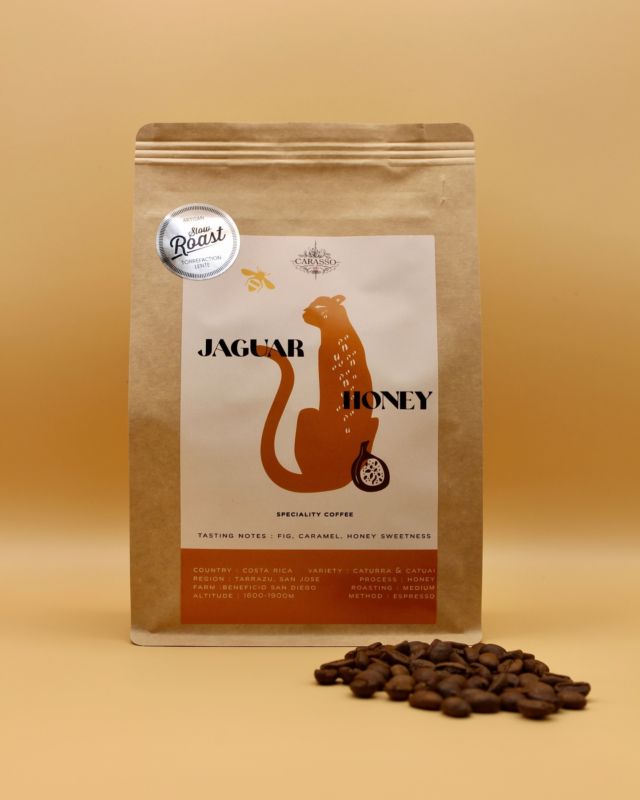 Un nouveau design pour un nouveau Specialty… Ça promet ! 😉
Notre gamme s’agrandit avec une pépite : Le Jaguar Honey. 🐆🍯
Un café cultivé sous le soleil généreux du Costa Rica 🌞. Direction San José, plus précisément le canton de Tarrazú, dans la ferme Beneficio San Diego, perchée à 1900 mètres d’altitude. Comme son nom l’indique, ce Jaguar est traité selon la méthode Honey, qui se distingue notamment par une consommation d’eau très faible. Grâce à une période de fermentation plus courte, il développe une acidité équilibrée, entre celle des cafés nature et lavé. Lors de ce processus, la pulpe de la cerise est entièrement retirée, ne laissant que le mucilage, lui donnant ainsi une teinte dorée rappelant le miel.
☕ Un café aux notes exquises de figue, de caramel et à la douceur envoûtante du miel – idéal en espresso.
🛍️ Disponible dès maintenant en ligne et dans nos boutiques !
👩🏻‍🎨 Étiquette réalisée par notre amie et artiste @acquaesale_art 🫶🏼
#café #cafescarasso #carasso #specialtycoffee #Tarrazu #JaguarHoney #NewSpecialty #coffeealert